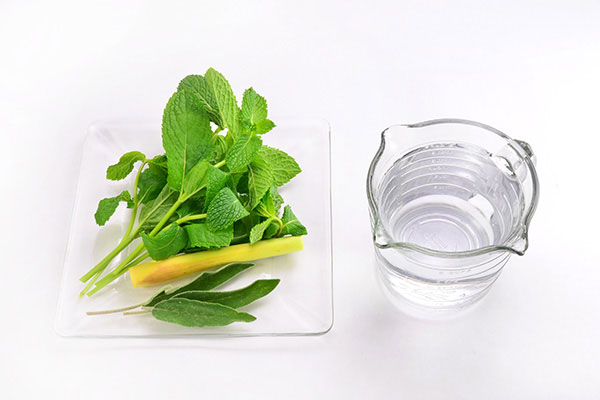 
            	Fresh Herb Tea  Ingredients
      	