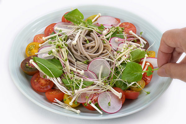 
              <i>Soba</i> Salad Step 6
      	