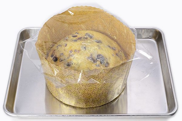 
              Sweet and Buttery Panettone Step 10
      	