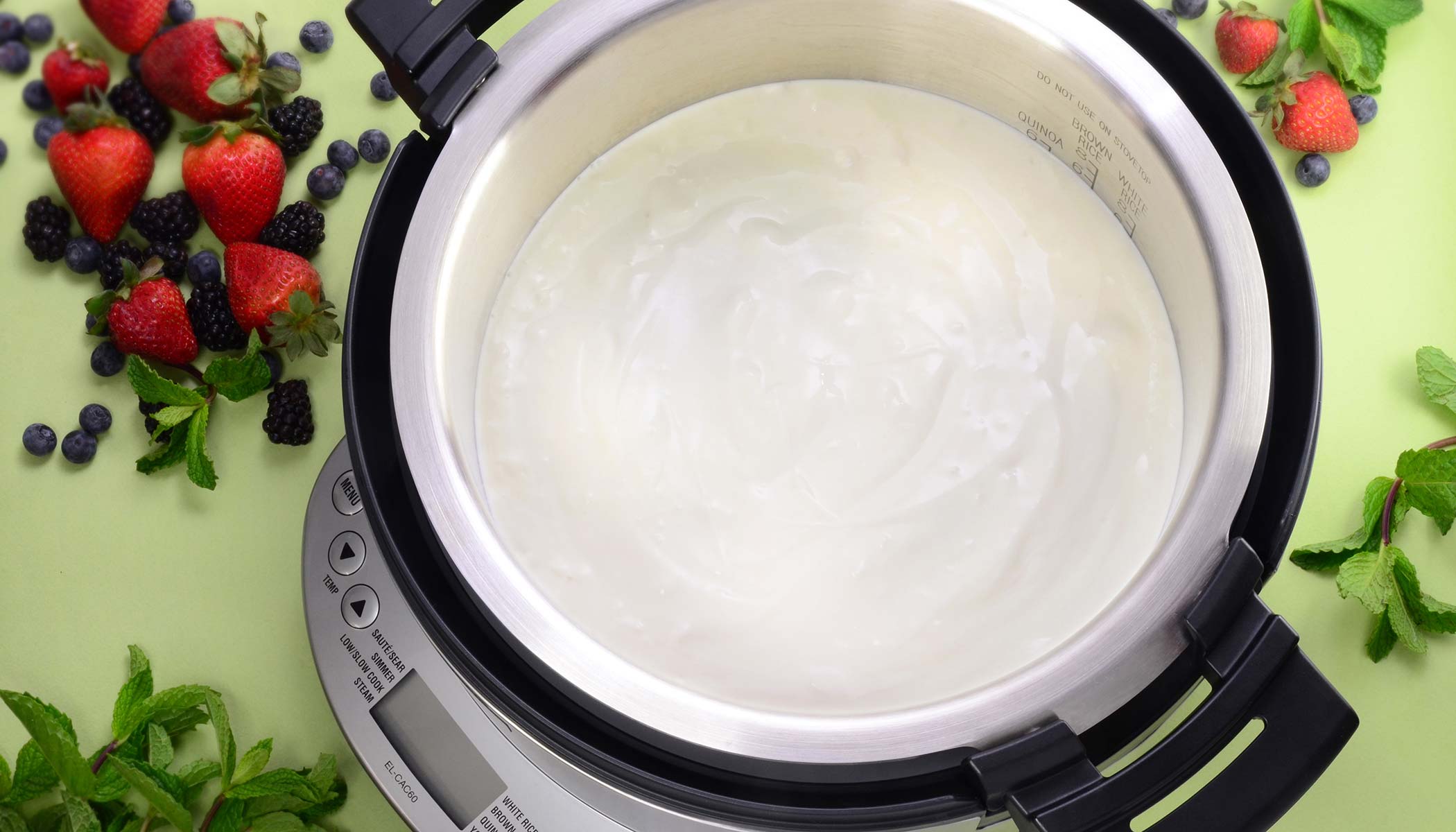 Zojirushi Recipe – Homemade Yogurt