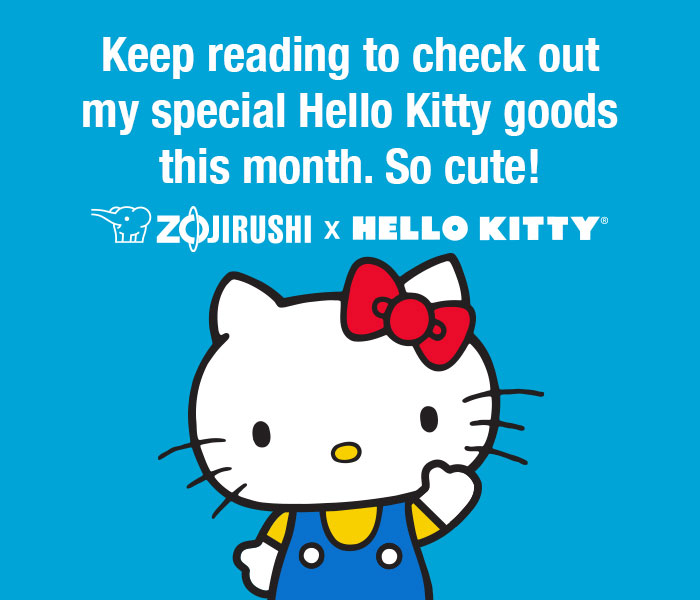Hello! My name is Hello Kitty!
