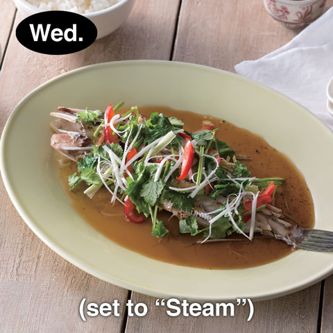Wednesday (set to “Steam”)