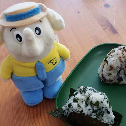 Onigiri Inspirations_8