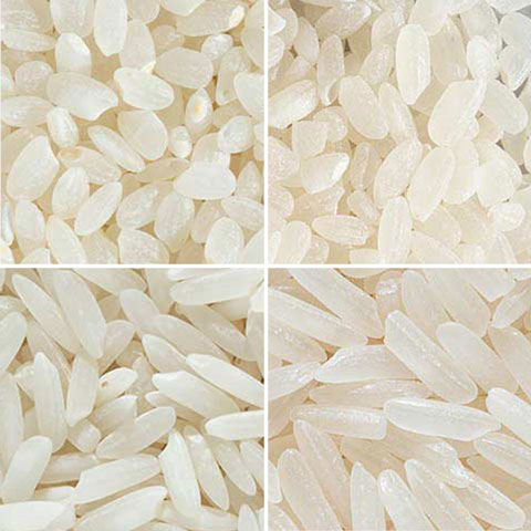 White Rice