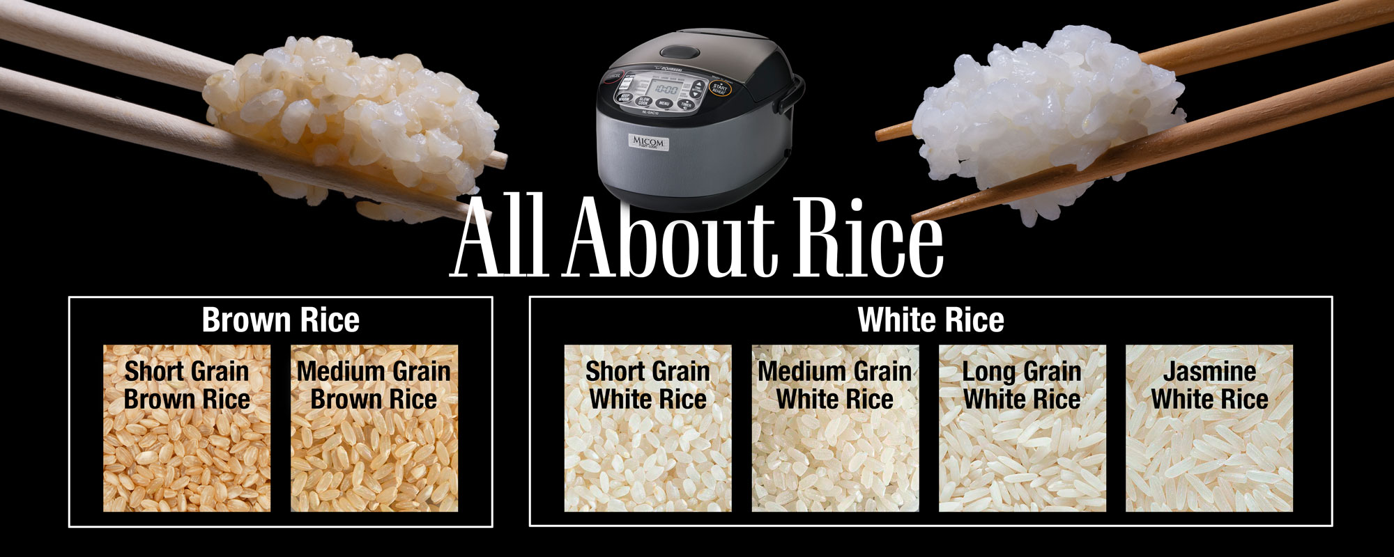 All About Rice