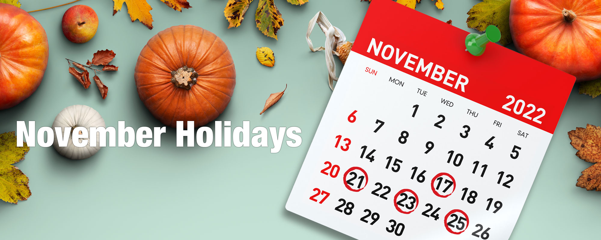 November Holidays