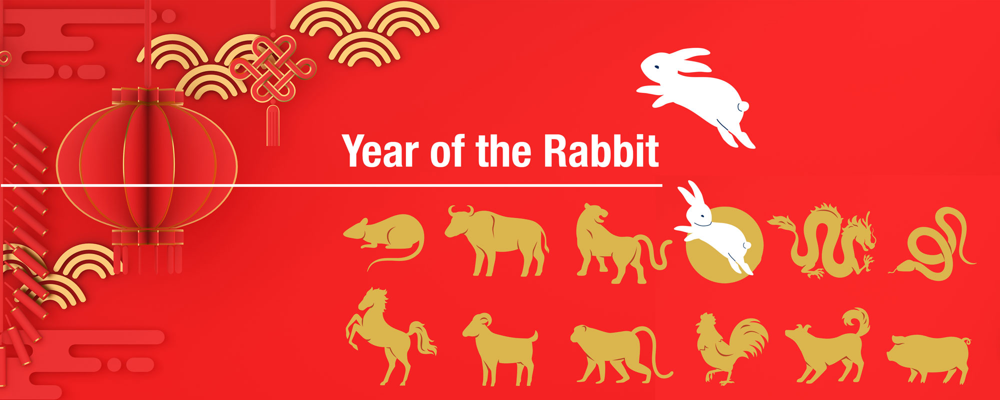 Year of the Rabbit