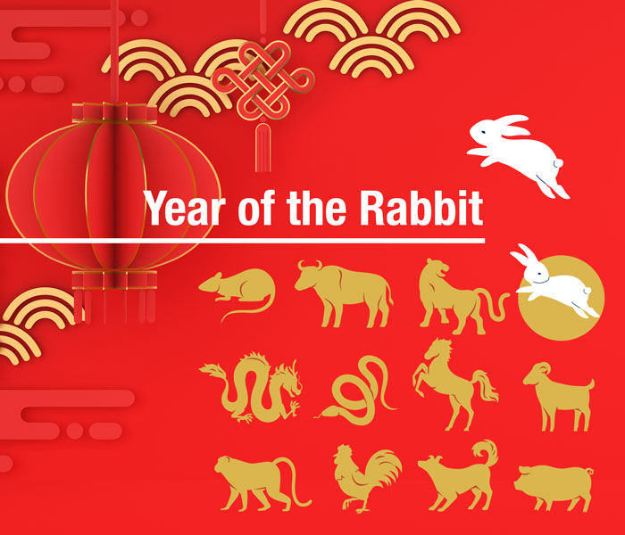 Year of the Rabbit