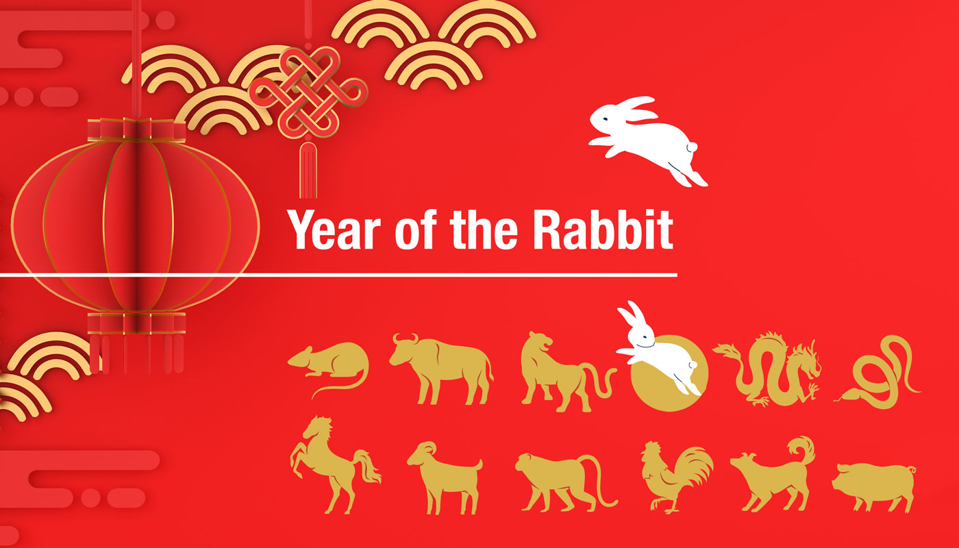 Year of the Rabbit