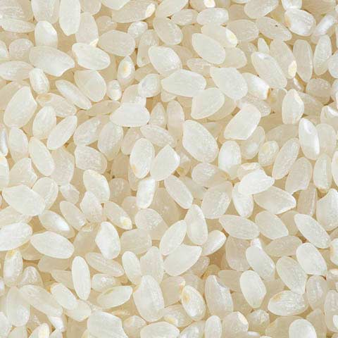 Short Grain Rice