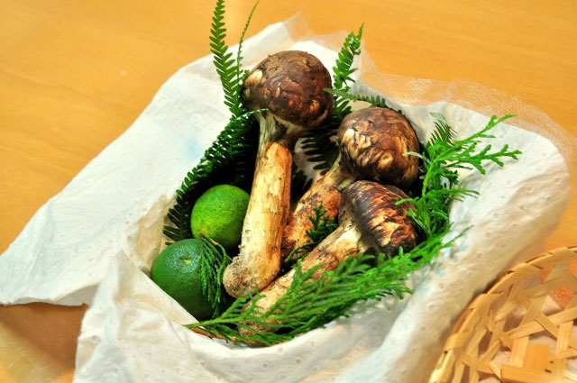 matsutake01