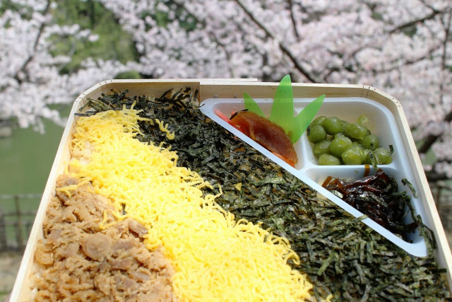 Japanese Sakura Bento Box | Hakoya