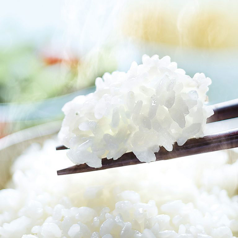 Design Explained Our Steam Vent Caps Zojirushi Food & Culture Blog