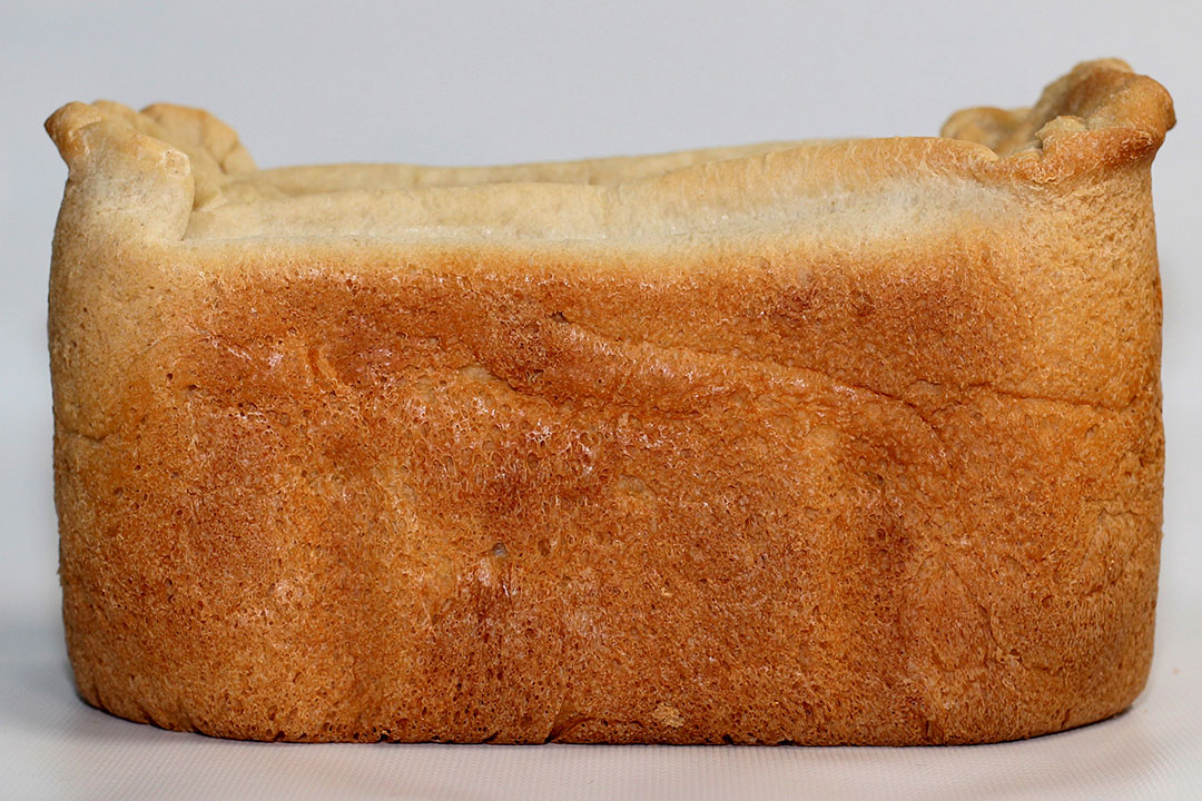 I bought a bread machine, and after 3 tries I successfully made a good  gluten free loaf! Size comparison in photo 2 of the homemade bread next to  a slice of Canyon