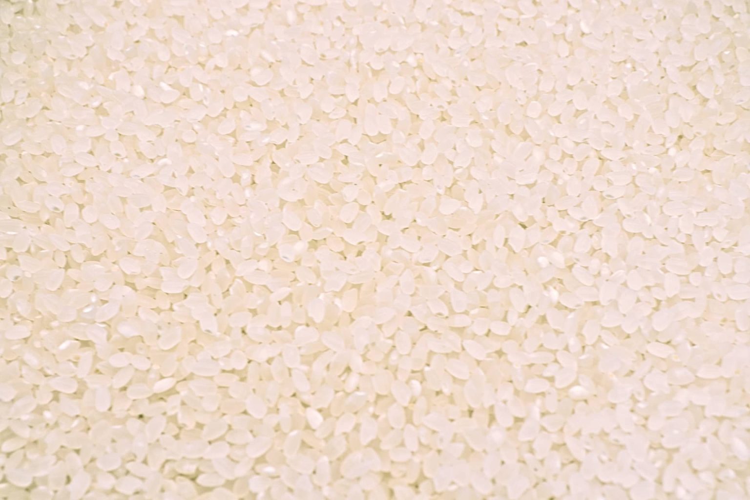 Tips on How to Store Rice (Before and After Cooking) Zojirushi Food