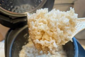 GABA rice close-up