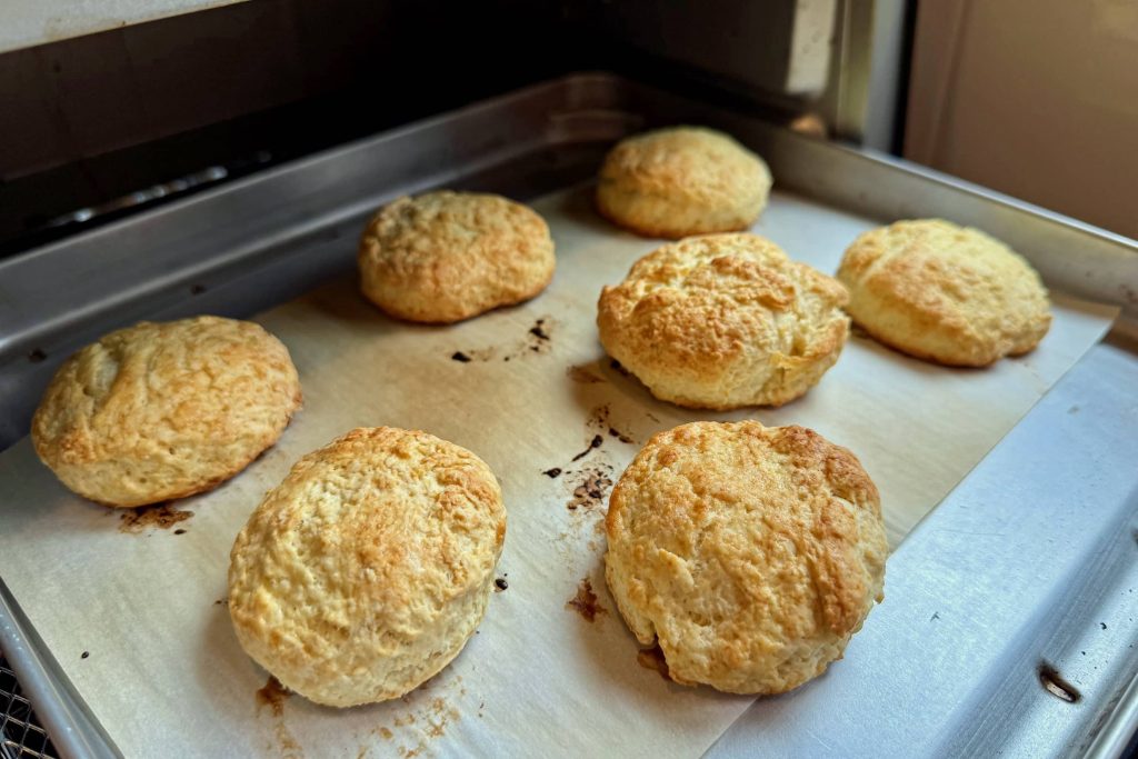 baked scones coming out of toaster oven