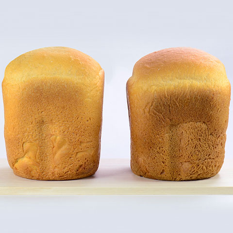 Amazon.com: Zojirushi Home Bakery 1 loaf for BB-ST10-WA