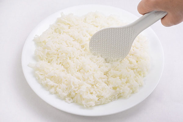 Shrimp and Rice Ceviche | Zojirushi.com